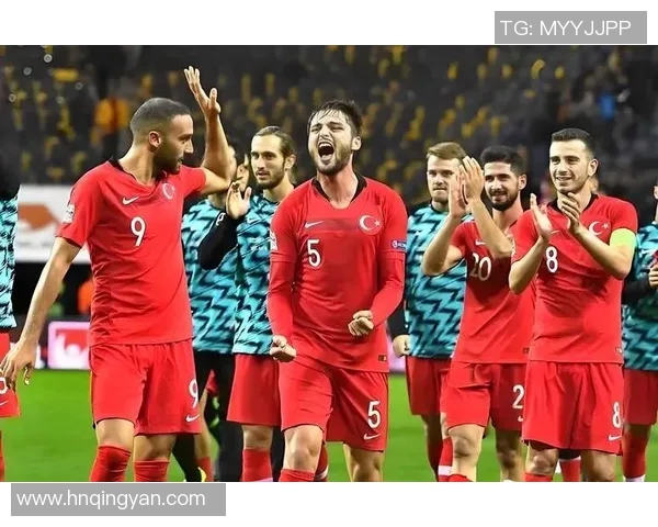 土耳其对冰岛足球比赛直播频道及观看方式全解析