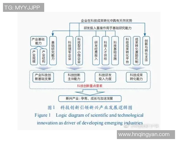 探索and1云梯的创新之路与未来发展潜力分析