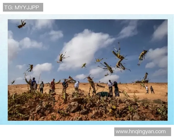 黄灾的成因与影响探讨及应对措施研究