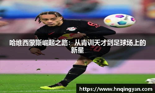 球速体育官方网址